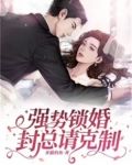 强势锁婚，封总请克制