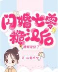 闪婚七零糙汉后，腰被宠软了