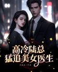 高冷陆总猛追美女医生