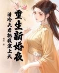 重生新婚夜，清冷夫君把我宠上天