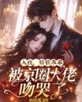 入夜，娇软乖乖被京圈大佬吻哭了