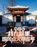 四合院:我在院里煽风点火那些年 列表