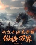 主角飞升到洪荒的小说
