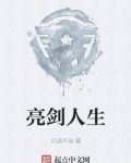 亮剑人生