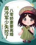 八零娇妻要离婚,高冷军少失控了 叮叮又咚咚