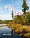 日记：系统