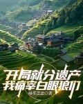 开局继承遗产小说