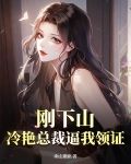 神医下山冷艳总裁爱上我