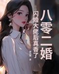 八零年代二婚妻txt