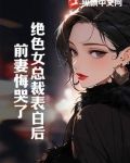 的绝色总裁老婆
