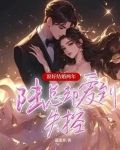 说好结婚两年，陆总却爱到失控