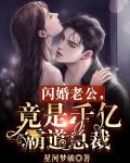 闪婚老公，竟是千亿霸道总裁