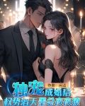 独宠，成婚后权势滔天墨总夜夜撩