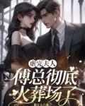 傅总,夫人被你虐死了