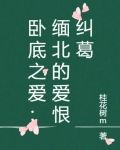 卧底之爱：缅北的爱恨纠葛