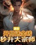 都市：开局送金砖，秒升大宗师
