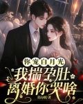 你宠白月光，我揣孕肚离婚你哭啥