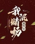 我混赌场那些年！