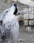 重生农村少年混都市