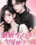 结婚当天未婚夫在国外陪养妹小说