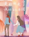 是谁偷走了我的百亿集团