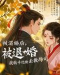 大明伪君子小说全文免费阅读