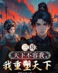 三国天下不容我我重塑天下