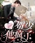夫人假死后，贺少他疯了