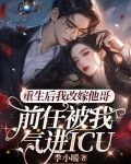 重生后我改嫁他哥，前任被我气进icu