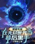 穿越斗龙：在无尽世界当幕后黑手