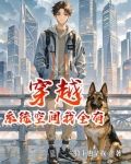 穿越系统空间我全有