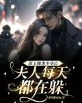惹上腹黑少爷后，夫人每天都在躲
