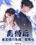 离婚之后轰炸娱乐圈