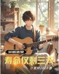 文娱声望系统txt