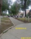 爱去跳舞的生活