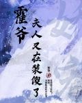 霍爷，夫人又在装傻了