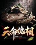 天命傀相