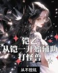 铠乙：从铠一开始辅助打怪兽