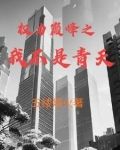 权力巅峰之我不是青天