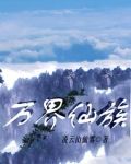 万界仙踪 小说
