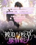 被迫与校草做情侣