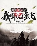 重生北宋之我师兄岳飞