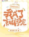 瓷碗通古今我成了京城团宠全文免费阅读