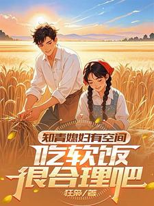 知青小媳妇小说推荐