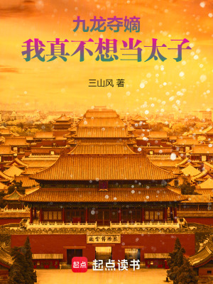 九龙夺嫡同人小说