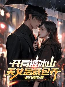 冰山女总裁飞卢