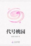 代号桃园