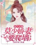 报告总裁,娇妻有喜了 岁禾
