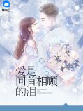 叶以念陆宸