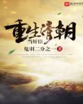 重生清朝当奸臣
